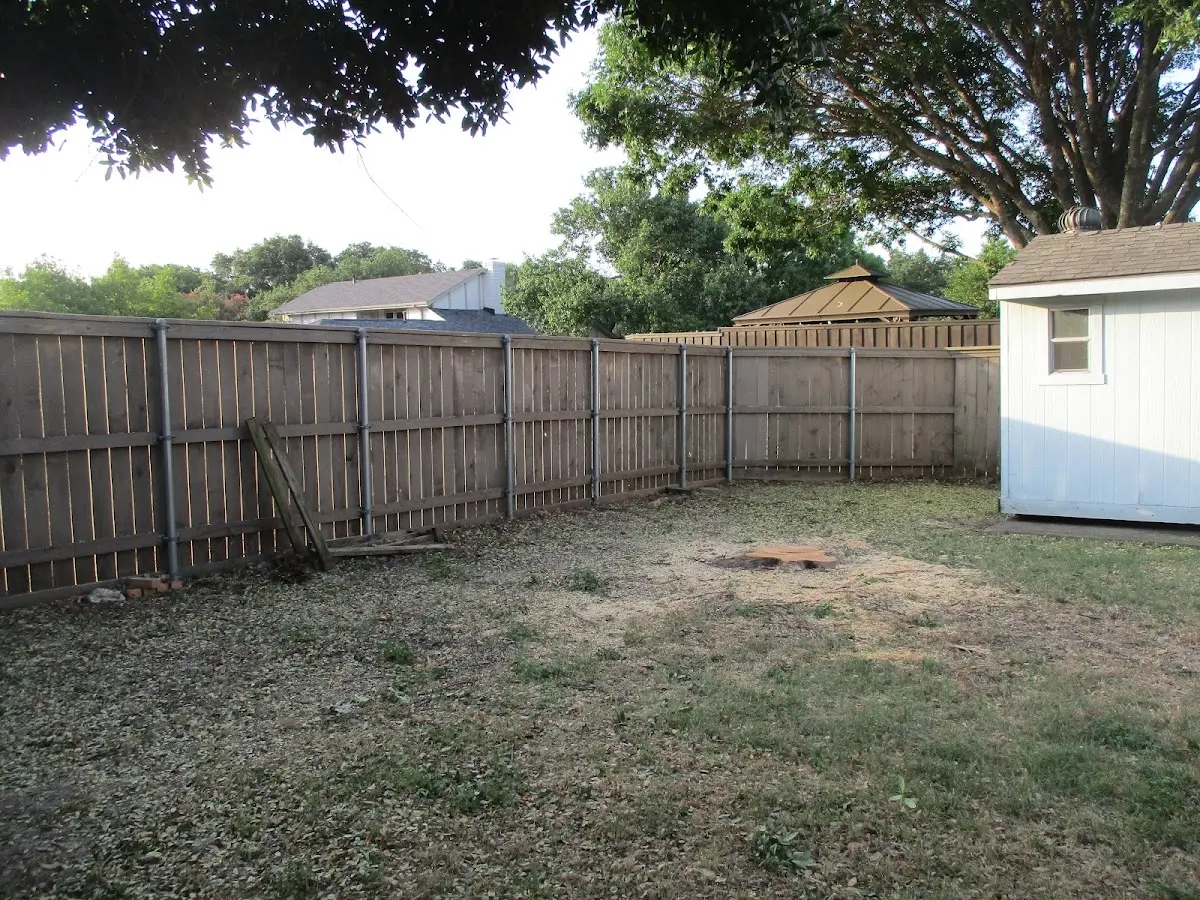 Cleared yard after professional tree removal in Franklin Park
